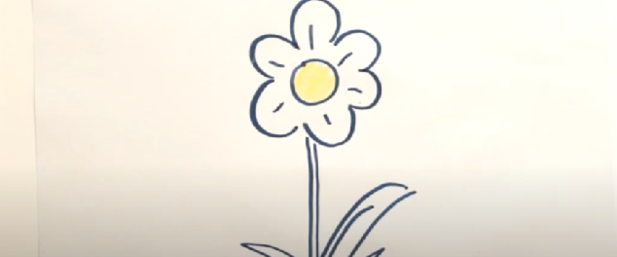 284-Como-dibujar-una-flor-Margarita