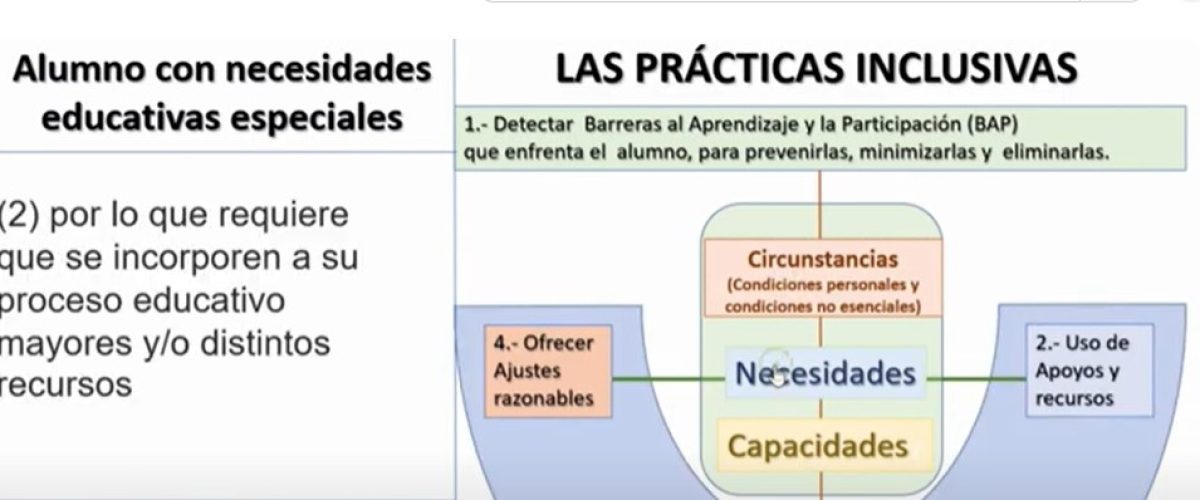 7567_El concepto de Alumno con Necesidades Educativas Especiales es un concepto inclusivo