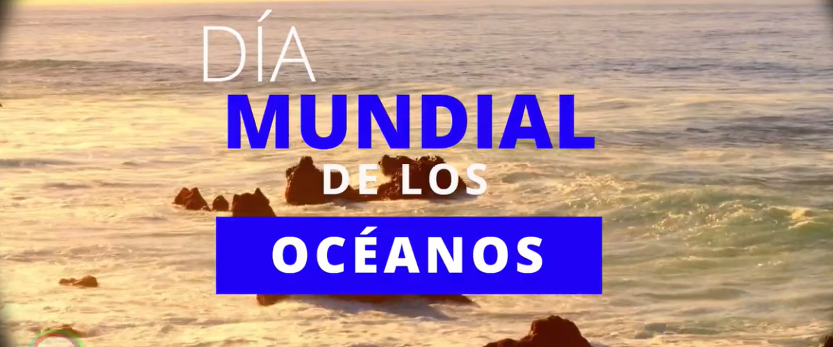 7789_Día mundial de los océanos