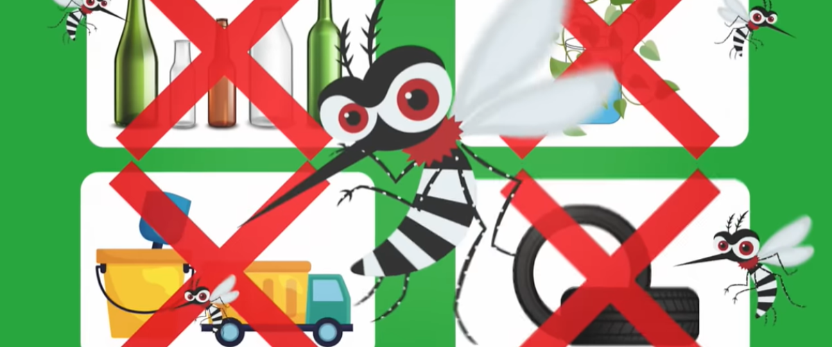 7875_Ayúdanos a prevenir el dengue