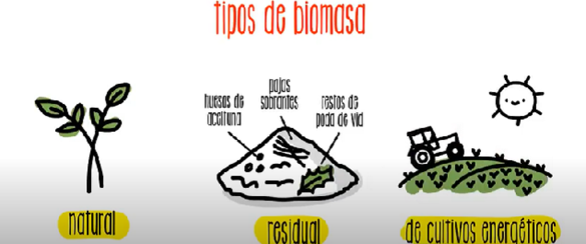Como-funciona-la-energia-de-la-Biomasa