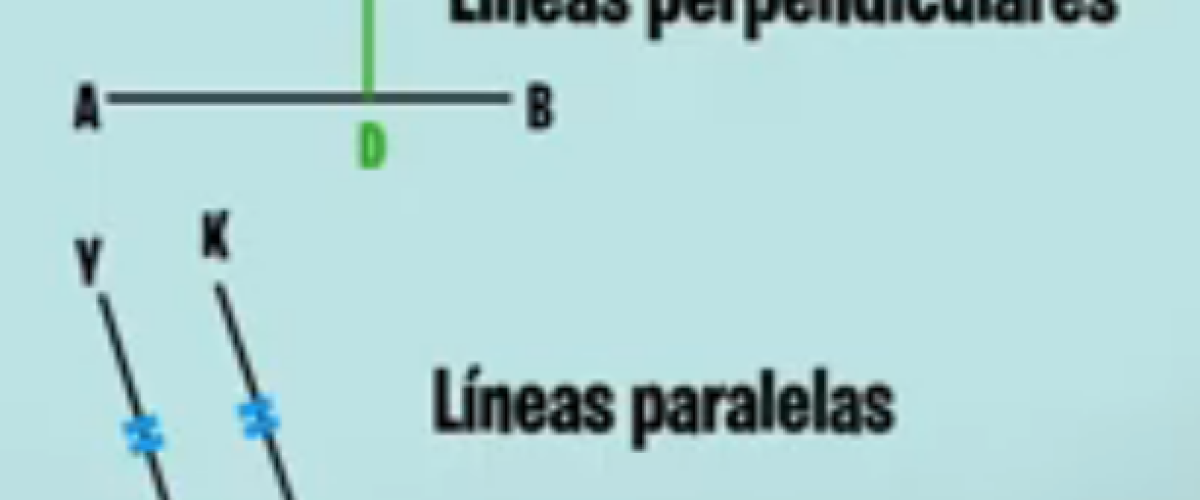 lineas horizontales y verticales