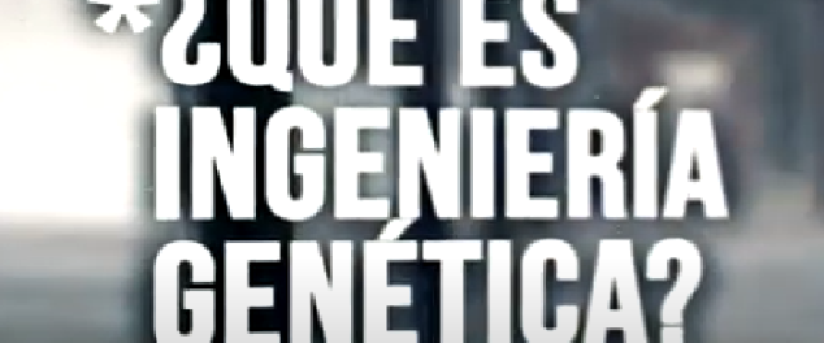 Science-Quiz-19-S03E03-JM-Mulet-Transgenicos-Que-es-la-ingenieria-genetica